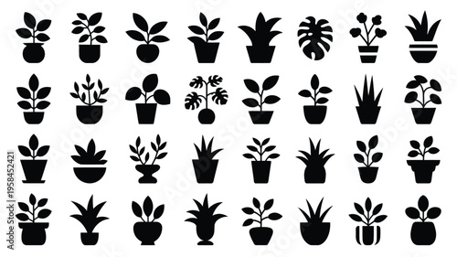 Collection of various potted houseplants and succulents in black silhouette on white background for decoration and design