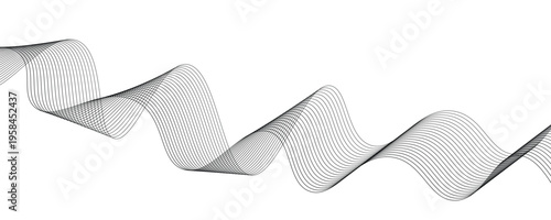 Abstract Black and White Minimalist Wave Line Art Background, Parametric Smooth Flowing Thin Curves for Modern Corporate Tech Design, Vector Geometric Ripple Illustration on Isolated White.