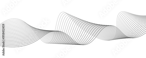 Abstract Black and White Minimalist Wave Line Art Background, Parametric Smooth Flowing Thin Curves for Modern Corporate Tech Design, Vector Geometric Ripple Illustration on Isolated White.