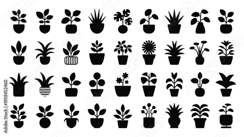 Collection of various potted plants and houseplants in black silhouette on white background for decoration and design