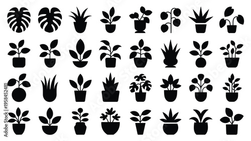 Collection of various potted houseplants and succulents in black silhouette on white background for decoration and design