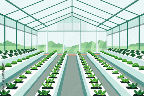 A symmetrical view inside a modern greenhouse with rows of leafy greens