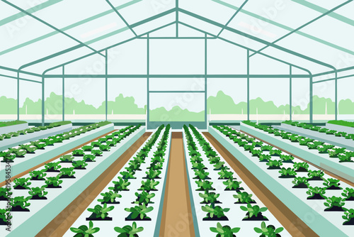 Inside a large greenhouse with rows of young plants growing neatly