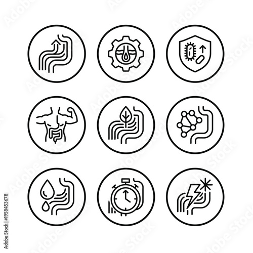 Set of Icons Representing Digestive Health and Gut Functionality.