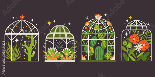 Stylized terrariums with diverse desert plants and floral arrangements illustrated