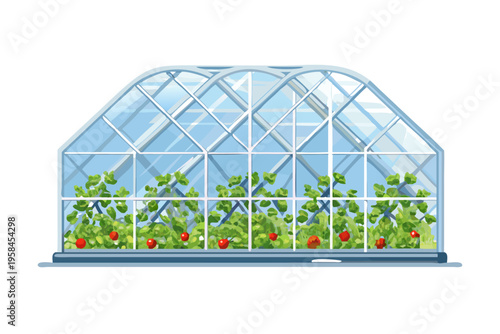 A colorful illustration depicts a greenhouse filled with ripening tomato plants
