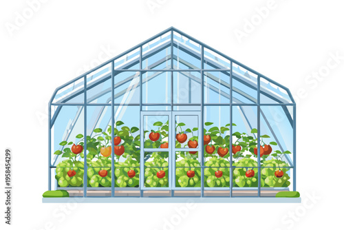 Illustration of a glass greenhouse filled with vibrant tomato plants