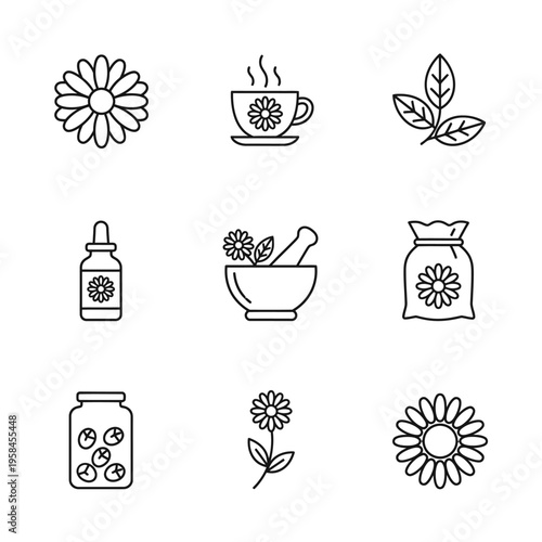 Set of Chamomile Flower Icons and Related Products.