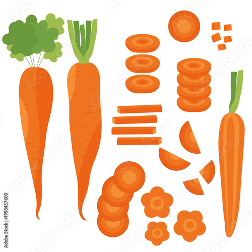Carrots shown whole and in various cutting styles including slices, sticks, and chopped pieces. Bright and clean food illustration perfect for cooking, recipes, healthy eating design projects.