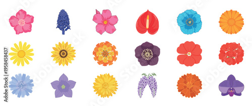 Colorful floral flowers icon set featuring dahlia orchid lotus poppy and botanical blossoms decorative outline line editable stroke spring garden