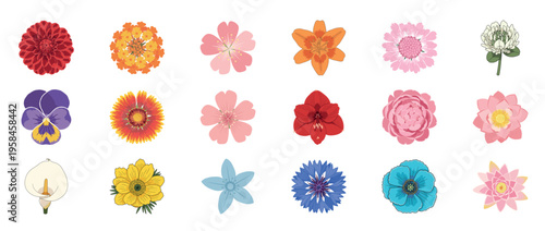 Colorful floral flowers icon set featuring dahlia orchid lotus poppy and botanical blossoms decorative outline line editable stroke spring garden