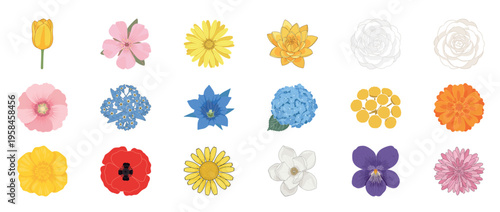Colorful floral flowers icon set featuring dahlia orchid lotus poppy and botanical blossoms decorative outline line editable stroke spring garden