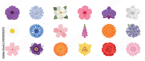 Colorful floral flowers icon set featuring dahlia orchid lotus poppy and botanical blossoms decorative outline line editable stroke spring garden