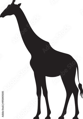 Giraffe Silhouette Walking African Wild Animal Isolated on Transparent Background Vector
