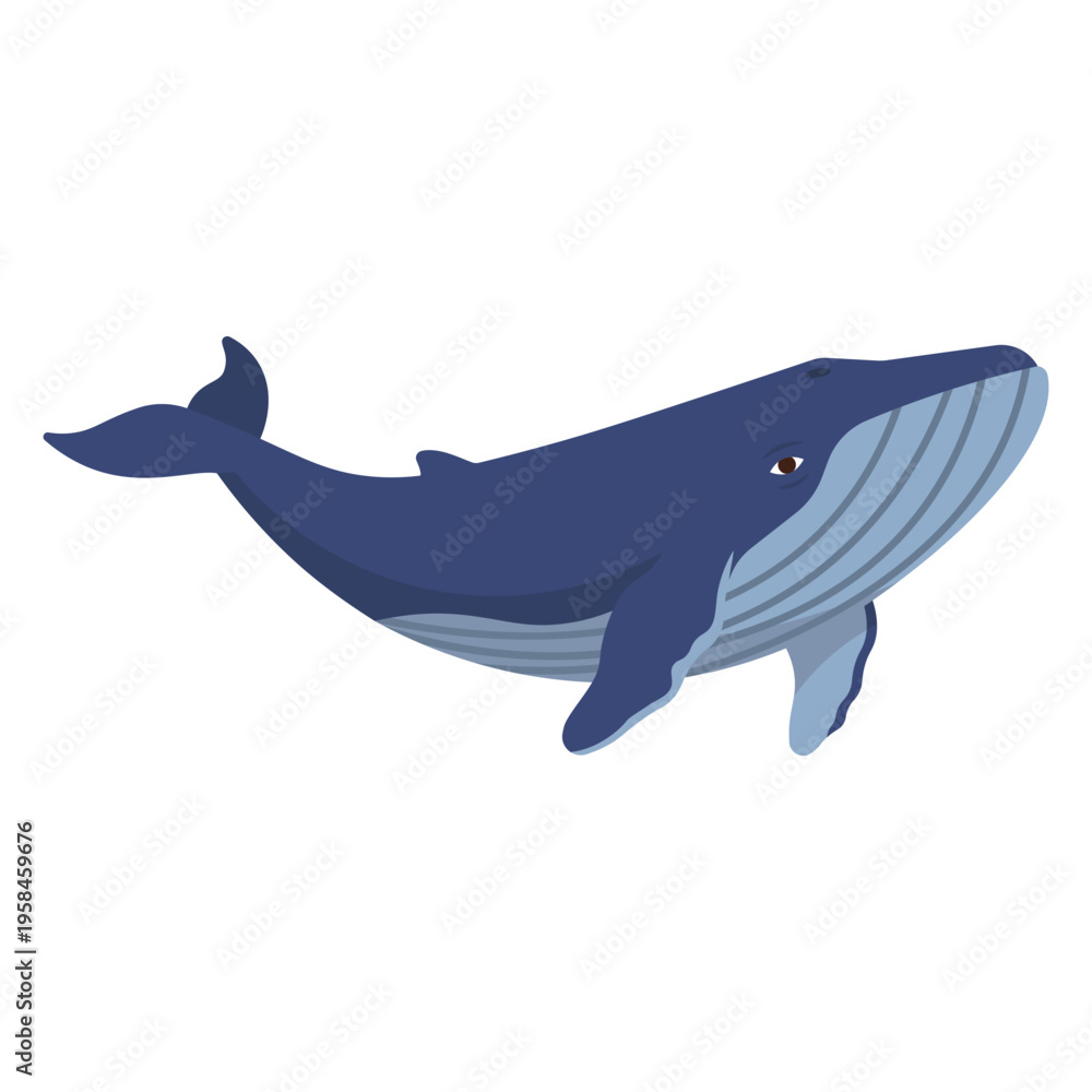 Obraz premium Vector illustration whale in trendy flat style. Isolated on white.