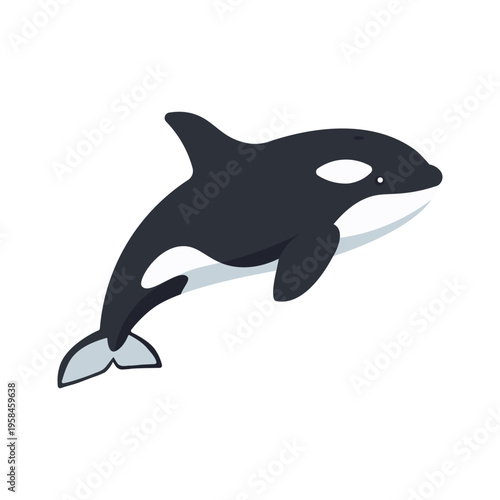 Vector illustration orca or killer whale in trendy flat style. Isolated on white.