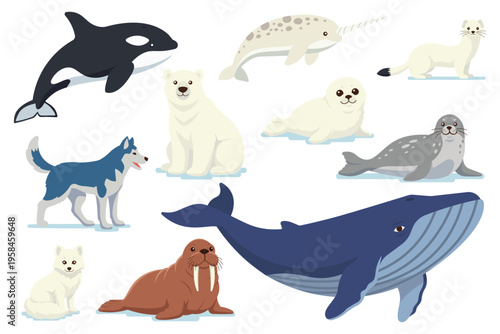 Flat set of arctic animals. Isolated polar animals on white background.
