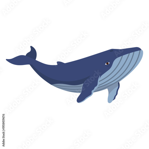 Vector illustration whale in trendy flat style. Isolated on white.