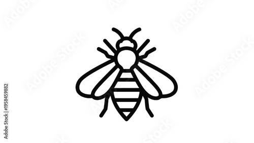 Black and White Bee Illustration Design.