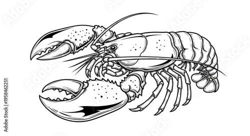 Detailed Line Art of a Lobster with Prominent Claws.