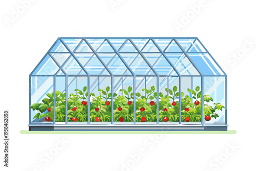 A transparent greenhouse shelters thriving tomato plants with ripe red fruit