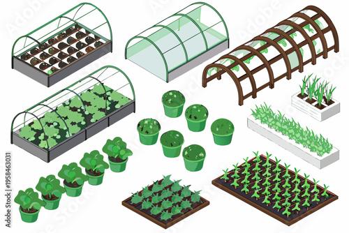 Isometric illustration of various greenhouses plants and gardening elements