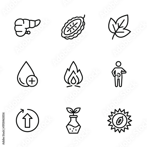 Set of Health and Wellness Icons Representing Body Functions and Natural Remedies.