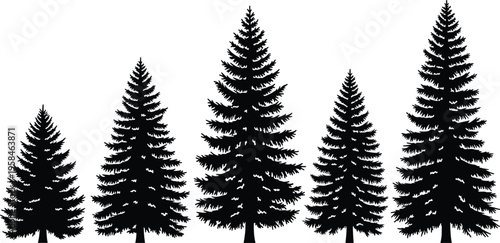 Pine Tree Silhouette Vector Collection Featuring Detailed Black Evergreen Conifer Fir and Spruce Trees for Nature Landscape Design and Winter Forest Graphic Elements