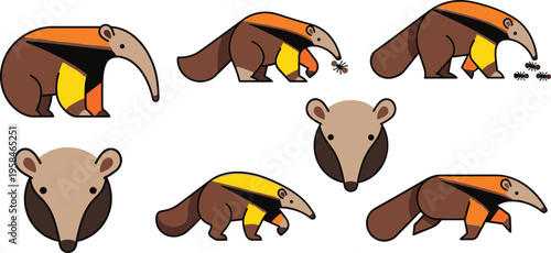 Anteater Cartoon Character Set with Different Poses Eating Ants Walking and Close Up Isolated on White Background for Wildlife Illustration and Kids Design