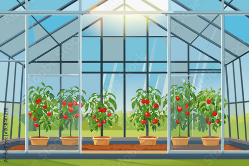 A colorful greenhouse displays thriving tomato plants in pots
