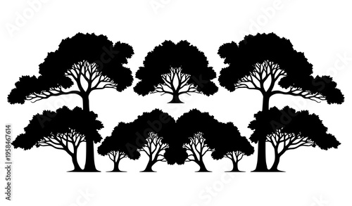 Symmetrical Beech Tree Silhouette Collection Decorative Forest Vector Set
