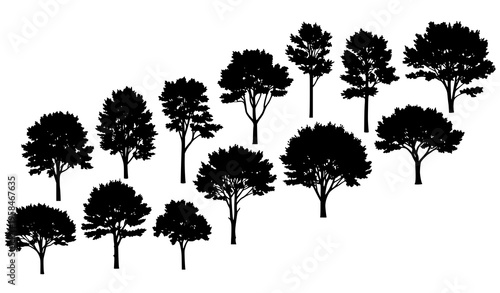 Beech Tree Silhouette Set Diagonal Forest Composition Vector Collection
