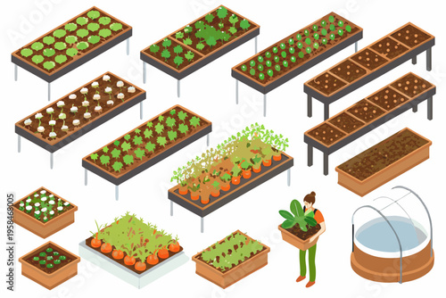 Isometric garden beds with various plants and a gardener tending them