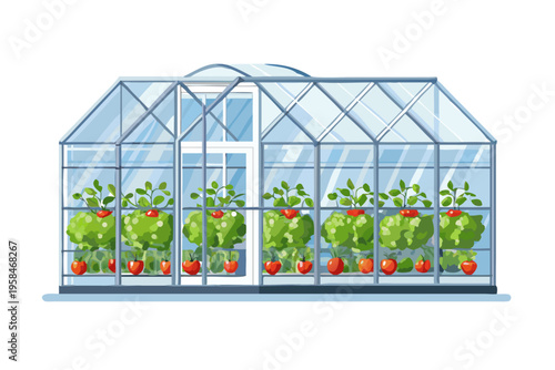 A colorful illustration of a greenhouse filled with tomato plants