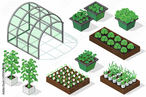 Isometric illustration of a greenhouse and various garden plants