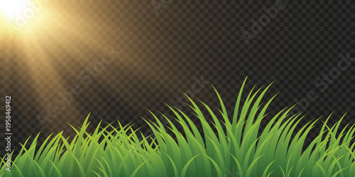 Beautiful panoramic natural landscape of a green field with grass against sky with sun.Vector