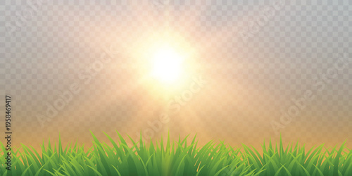 Illustration of green grass with sun.Summer background