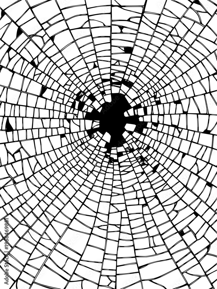 Obraz premium Abstract black and white vector illustration depicting a shattered glass effect with a central impact point, resembling a broken window or web pattern