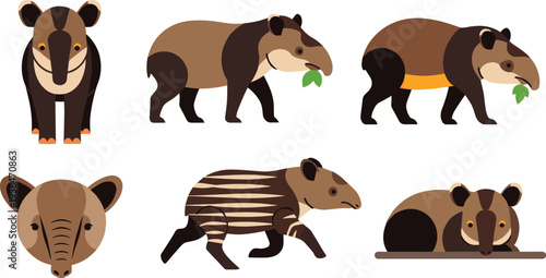 Tapir Cartoon Character Set with Different Poses Walking Eating and Resting Isolated on White Background for Wildlife Illustration and Exotic Animal Design