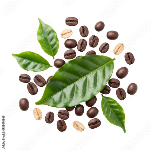 Coffee beans and leaves on transparent background
