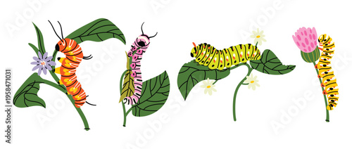 Set of flat caterpillar stickers in cute spring style. Colorful worms on leaves and flowers, playful nature collection. Bright  illustrations in trendy minimal style, aesthetic, perfect for stickers