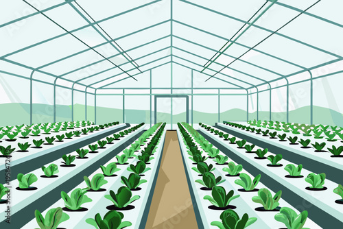 A vibrant greenhouse filled with rows of leafy green plants growing