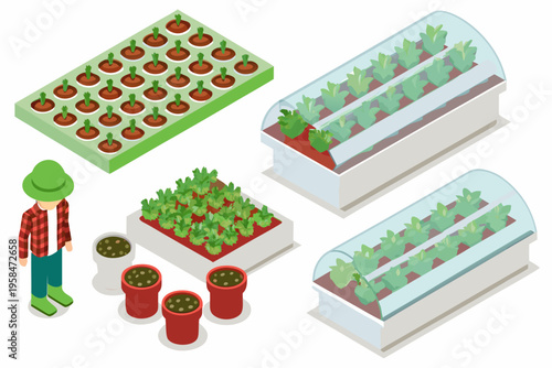 Isometric illustration of a modern greenhouse and plant growing setup