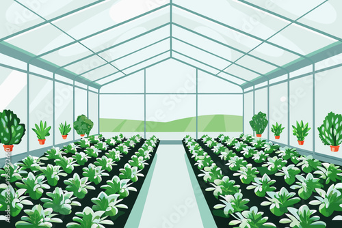 Inside a vibrant greenhouse with rows of leafy green plants growing