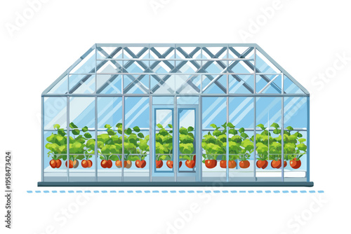 Illustration of a glass greenhouse filled with tomato plants and produce