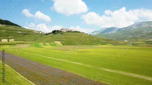  landscape in bloom, flowering in Castelluccio - Umbria, Italy.