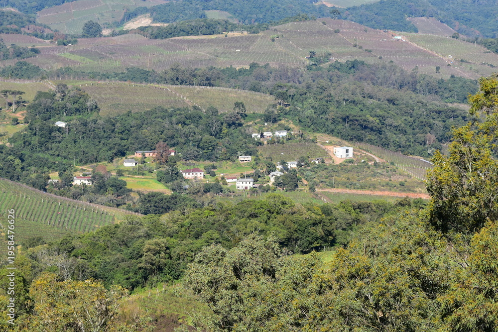 Naklejka premium monte belo do sul - rs
