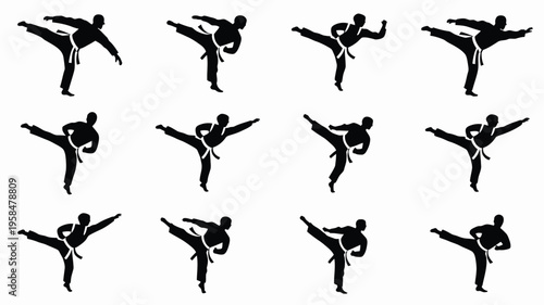 Dynamic silhouettes of martial artists performing high kicks in mid air during training or competition showcasing athletic movement