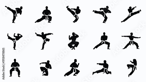 Silhouettes of martial artists performing dynamic kicks punches and defensive stances in varied action poses vector illustration