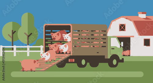 Pigs being loaded onto a truck for transport from a farm.